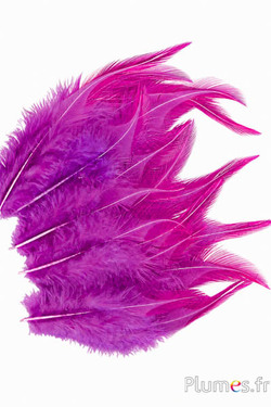 Gallo - 8-12 cm - melanzana